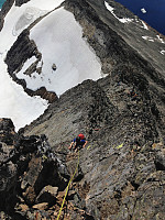 elbow_img_2683.jpg