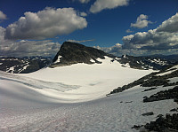 elbow_img_2868.jpg