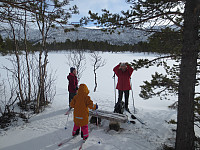En koselig liten benk helt ned ved Ustedalsvatnet. 