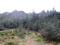 Her starter stien fra skogsveien i sadelen mellom Røysetfjellet og Teitanipa.