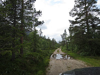 Røff skogsvei siste kilometerne til Heimre Slåkja.
