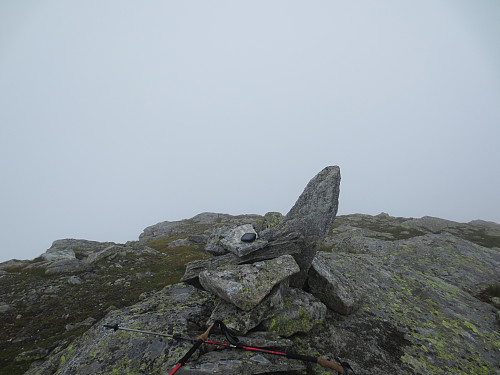 Vestligste topp punkt på Ingebjørgsnuten, 1250 moh