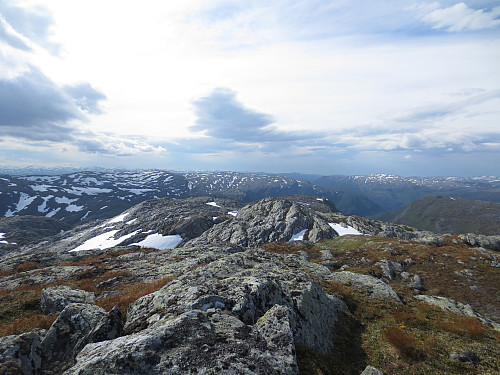 Toppen av Bjørndalshesten, 1222 moh. En vindfull plass!