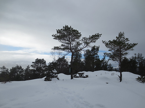 Tok også turen over på Nesvarden, 291 moh, for å få en pekepinn på hvor stien starter og en dobbeltsjekk av høyde..