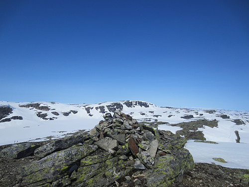Toppen av "Sør for Sandflotjørna", 1671 moh. 