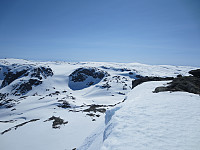 Bratt på østsiden av toppen av "Sør for Sandflotjørna".