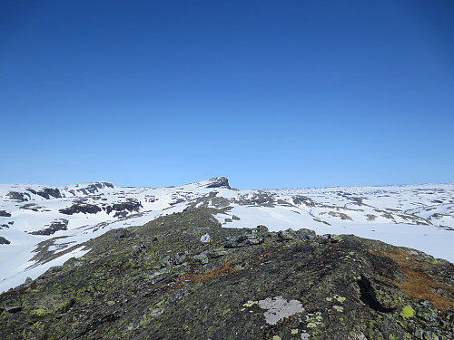 Toppen av "Nordvest for Nupfonn", 1598 moh. Sandfloegga og "Øst for Sandflotjørna" i bakgrunnen.
