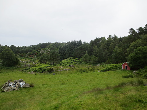 For mindre gange på skogsvei og sti mer rett mot toppen, gå over marken mot de to trærne midt i bildet.