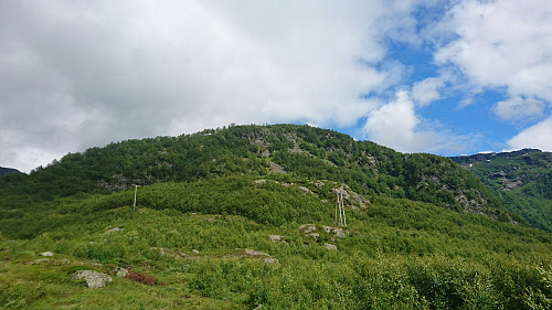 Toppen av Storehovden sett fra Frøystølen.