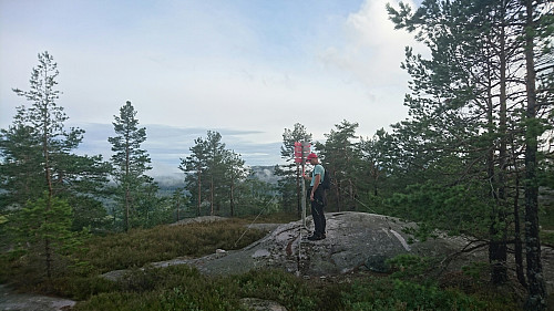 Toppen av Bruskor, 400 moh.