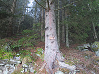 Følg disse pilene som kommer du til fjells .