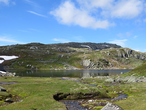 Idyllisk ved Vendehylen, 1170 moh.