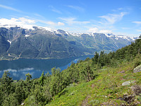 Her har jeg funnet den umerkede snarveien (stien) som kommer inn på t-stien på 990 moh.