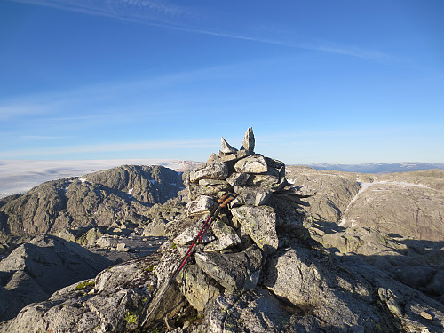 Toppen av Bjørnbærnuten, 1305 moh. 