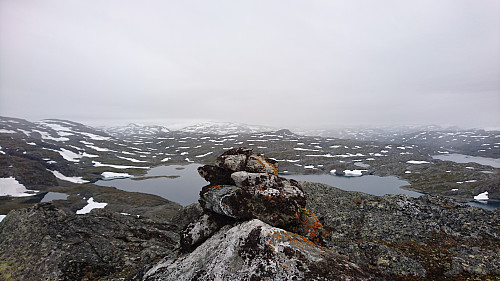 Toppen av Kvannanuten, 1510 moh.