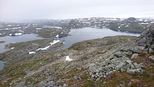 Bratt terreng opp på Kvannanuten, men helt overkommerlig.