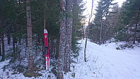 Oppe ved Hellerelvi hadde noen satt igjen skiene, ettersom skogsveien opp hit på dette tidspunktet ikke var egnet for skikjøring.