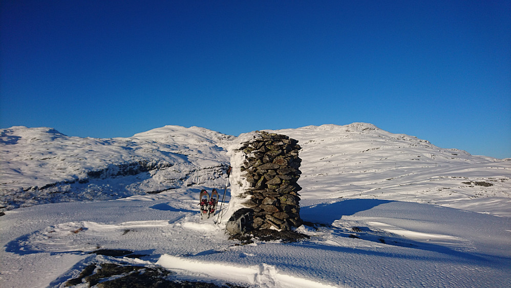 Toppen av Gråfjellet, 723 moh. (Herdabreida 1125 moh i bakgrunnen)
