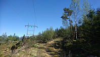 Nesten på toppen. Tok av fra skogsveien her.