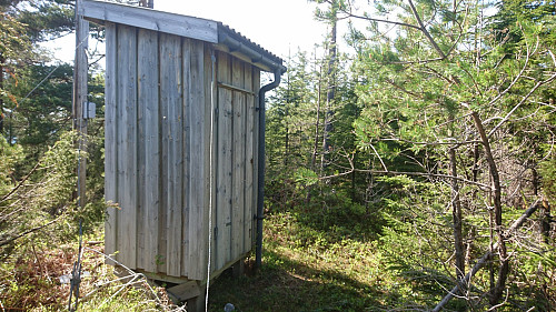 Toppen av Storåsen, 248 moh. Ikke noe utsikt.