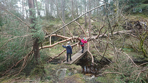 Gøy med rotvelt.