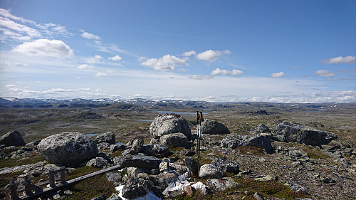 Toppen av Storahorgi, 1467 moh.