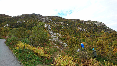 Start rett opp fra Hillesøya p-plass.