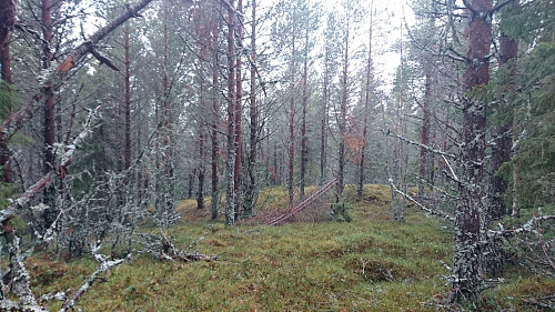 Et av to topp punkt.