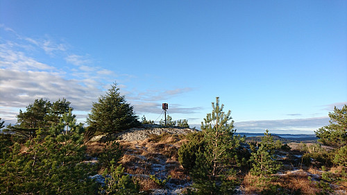 Toppen av Tveitalifjellet, 162 moh.