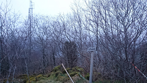 Toppen ev Tjellflotåsen, 159 moh.