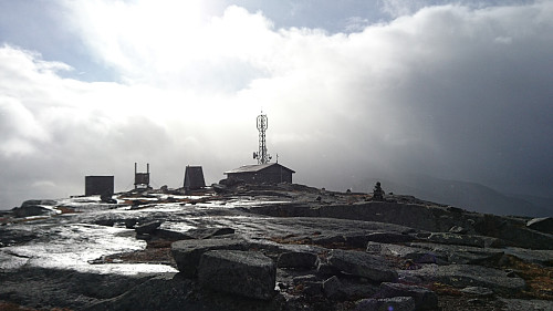 Toppen av Kjårda- eller Tjårdafjellet 1095 moh.