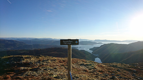 Toppen av Sauskolten, 732 moh.