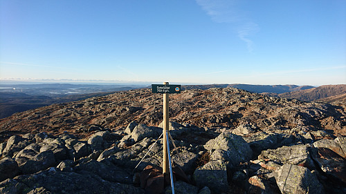 Toppen av Søtefjellet 769 moh.