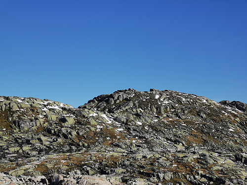 Toppen av V for Vestrebotnen, 1184 moh.