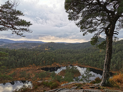 Utsikt fra Langaheia mot Stora Krokatjørn.