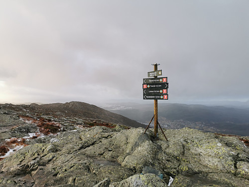 Toppen av Møsnuken, 639 moh.
