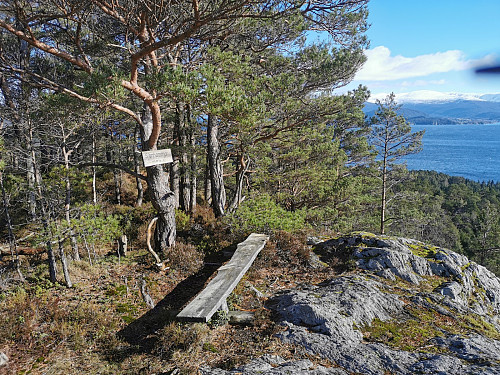 Toppen av Skjønhammaren, 113 moh. 