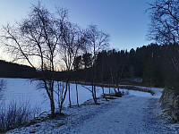 Retur langs skiløypene (uten snø) ved Grunnvatnet.