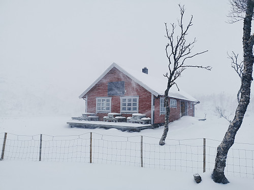 Snudde ved Turmålsstua, 250 moh. Vindfullt!