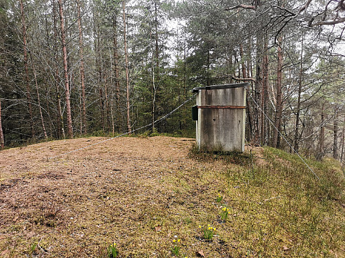 Toppen av Bogsnesåsen.