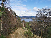 Skogsvei opp etter siste gårdsbruk.