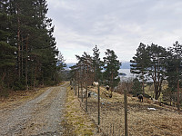 Tilskuere ved slutten av skogsveien.