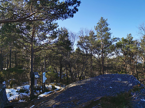 Toppen av Ravnakulten, 291 moh.