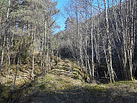 Her starter den merkede stien mot Jamburfjellet.