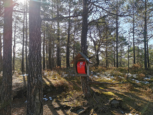 Toppen av Jamburfjellet, 272 moh.