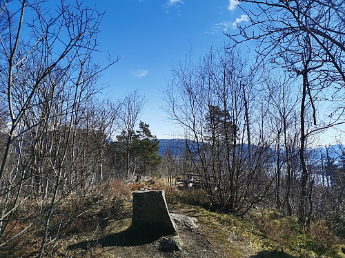 Toppen av Toftåsen, 195 moh.