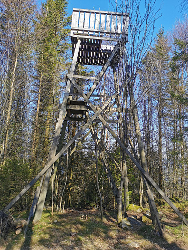 Utsikttårn på toppen, men trærne er begynt å vokse forbi.