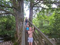 geirl_img_2709.jpg