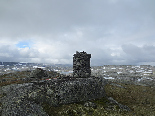 Toppen av Austre Låghellerhøgdene (Vest), 1491 moh. Statens Kartverk har satt denne til 1 meter lavere (jeg målte den til 3 meter lavere) enn østtoppen.