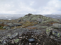 De to like høye topp punktene på Vestre Låghellerhøgdene, 1453 moh. 